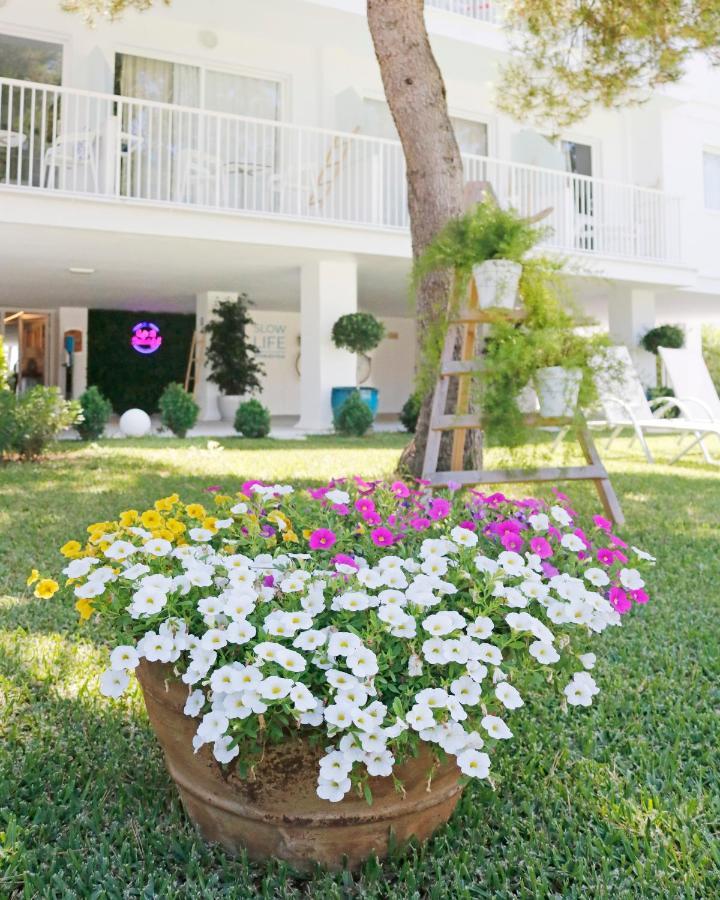 Bonavida 3* Port d'Alcúdia